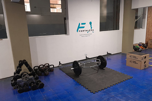 Gimnasio de Pesas
